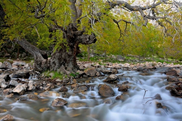 ایجاد آبخوری و محوطه‌سازی در مسیر گردشگری کهمان