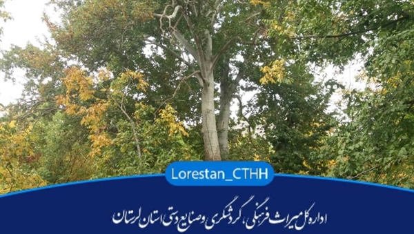 ۳ اثر طبیعی لرستان ثبت ملی می‌شود